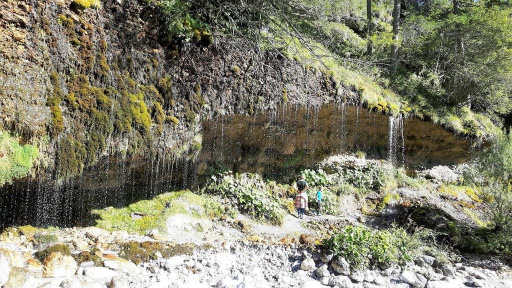 Bio-Bauernhof Hatzbauer Maria Alm am Steinernen Meer Ngoại thất bức ảnh