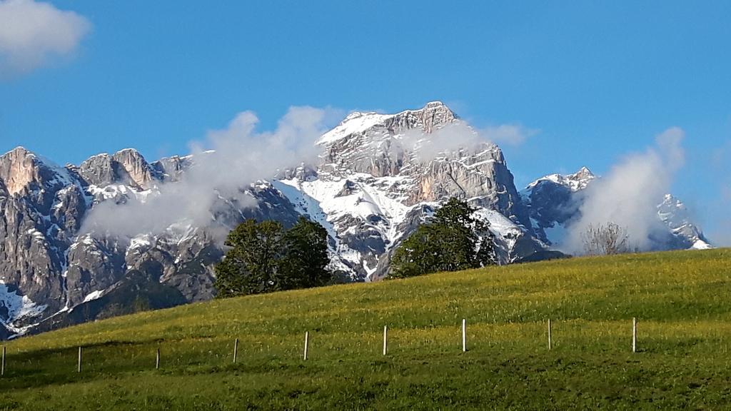 Bio-Bauernhof Hatzbauer Maria Alm am Steinernen Meer Ngoại thất bức ảnh